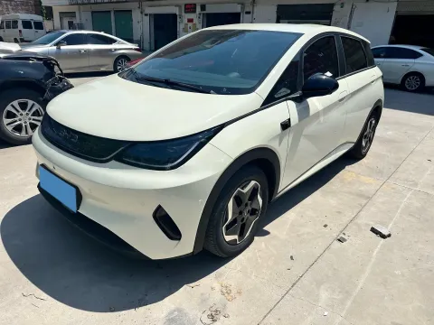2025 BYD DOLPHIN,autocango,china used car exporter,china ev exporter,chinese used car exporter,chinese used ev exporter