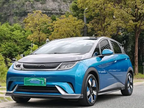 2023 BYD DOLPHIN,autocango,china used car exporter,china ev exporter,chinese used car exporter,chinese used ev exporter