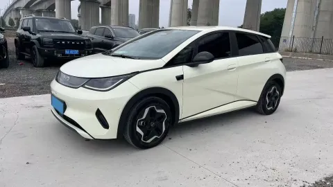 2025 BYD DOLPHIN,autocango,china used car exporter,china ev exporter,chinese used car exporter,chinese used ev exporter
