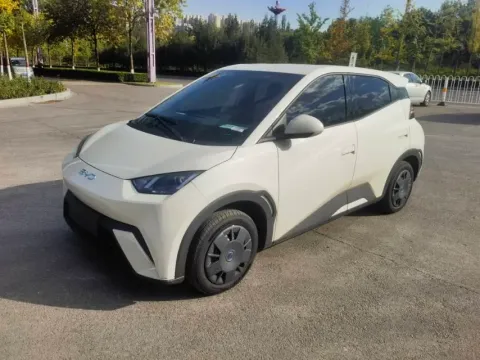 2025 BYD SEAGULL,autocango,china used car exporter,china ev exporter,chinese used car exporter,chinese used ev exporter