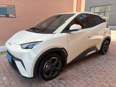2023 BYD SEAGULL,autocango,china used car exporter,china ev exporter,chinese used car exporter,chinese used ev exporter