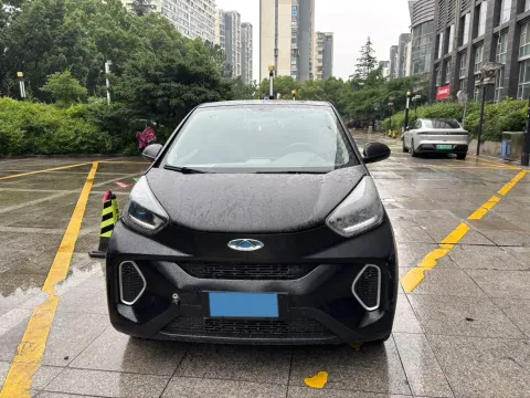 2019 CheryQQ Little Ant BEV 30.6KWH