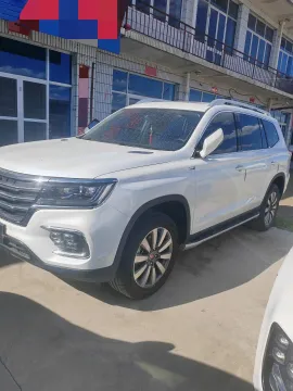 2019 Roewe RX8 2.0T 222HP L4 6AT