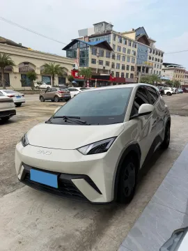 2025 BYD SEAGULL,autocango,china used car exporter,china ev exporter,chinese used car exporter,chinese used ev exporter