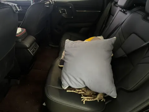 2023 Haval Dargo PLUS 1.5T 184HP L4 7DCT