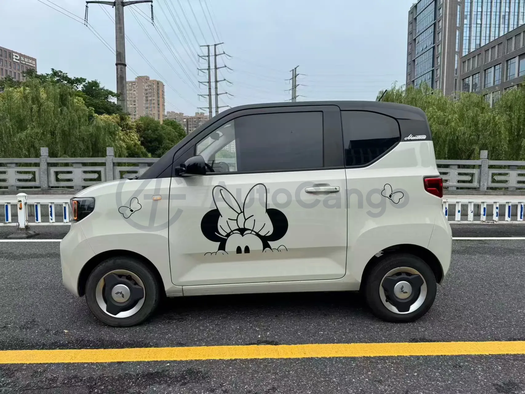 2022 WuLing HongGuang MINI EV BEV 13.9KWH,autocango,china used car exporter,china ev exporter,chinese used car exporter,chinese used ev exporter