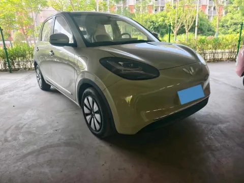 2025 WuLing BinGuo BEV,autocango,china used car exporter,china ev exporter,chinese used car exporter,chinese used ev exporter