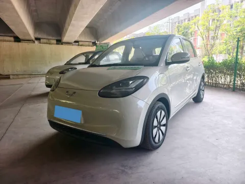 2025 WuLing BinGuo BEV,autocango,china used car exporter,china ev exporter,chinese used car exporter,chinese used ev exporter