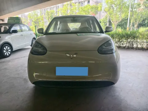 2025 WuLing BinGuo BEV,autocango,china used car exporter,china ev exporter,chinese used car exporter,chinese used ev exporter