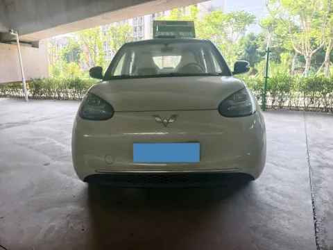 2025 WuLing BinGuo BEV,autocango,china used car exporter,china ev exporter,chinese used car exporter,chinese used ev exporter