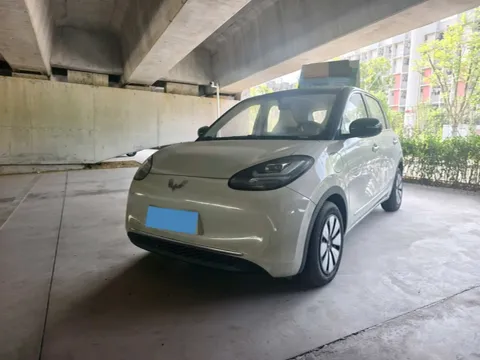 2025 WuLing BinGuo BEV,autocango,china used car exporter,china ev exporter,chinese used car exporter,chinese used ev exporter
