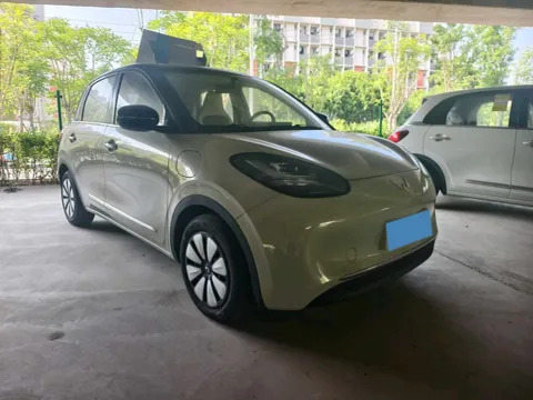 2025 WuLing BinGuo BEV,autocango,china used car exporter,china ev exporter,chinese used car exporter,chinese used ev exporter