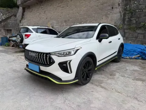 2021 HAVAL RABBIT,autocango,china used car exporter,china ev exporter,chinese used car exporter,chinese used ev exporter