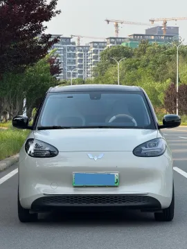 2023 WuLing BinGuo BEV 31.9KWH,autocango,china used car exporter,china ev exporter,chinese used car exporter,chinese used ev exporter