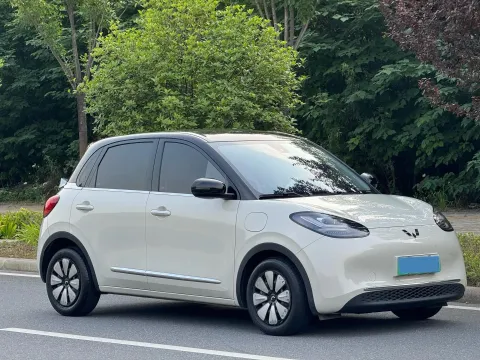 2023 WuLing BinGuo BEV 31.9KWH,autocango,china used car exporter,china ev exporter,chinese used car exporter,chinese used ev exporter