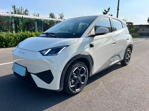 2025 BYD SEAGULL,autocango,china used car exporter,china ev exporter,chinese used car exporter,chinese used ev exporter