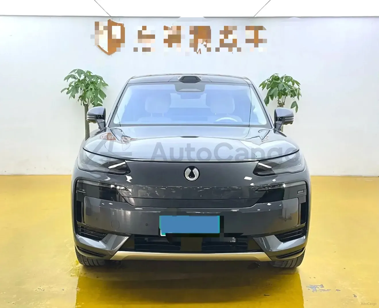 2025 Denza DenzaN9 2.0T 207HP L4 E-CVT PHEV,autocango,china used car exporter,china ev exporter,chinese used car exporter,chinese used ev exporter