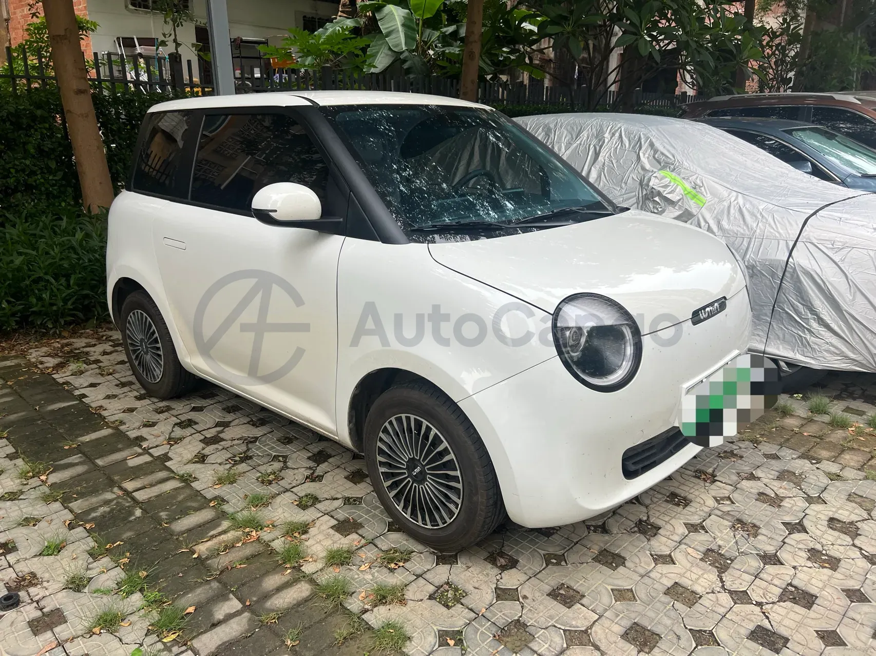 2023 ChangAn QiYuan Lumin BEV 28.08KWH,autocango,china used car exporter,china ev exporter,chinese used car exporter,chinese used ev exporter