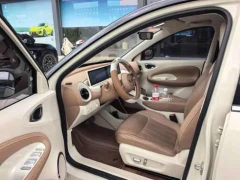 2023 WuLing BinGuo BEV 37.9KWH,autocango,china used car exporter,china ev exporter,chinese used car exporter,chinese used ev exporter
