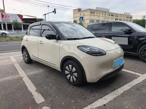 2023 WuLing BinGuo BEV 37.9KWH,autocango,china used car exporter,china ev exporter,chinese used car exporter,chinese used ev exporter