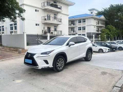 2020 LEXUS NX,autocango,china used car exporter,china ev exporter,chinese used car exporter,chinese used ev exporter