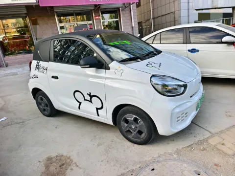 2021 Roewe Clever BEV 29.13KWH