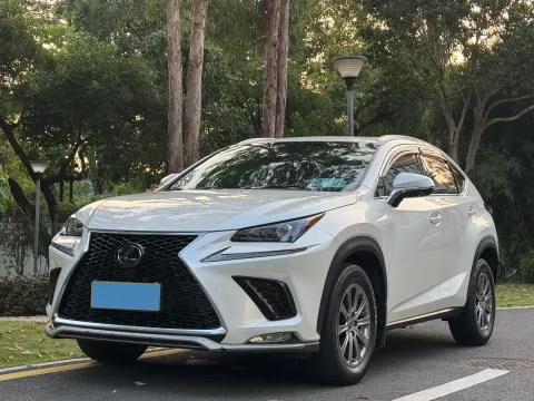 2020 LEXUS NX,autocango,china used car exporter,china ev exporter,chinese used car exporter,chinese used ev exporter