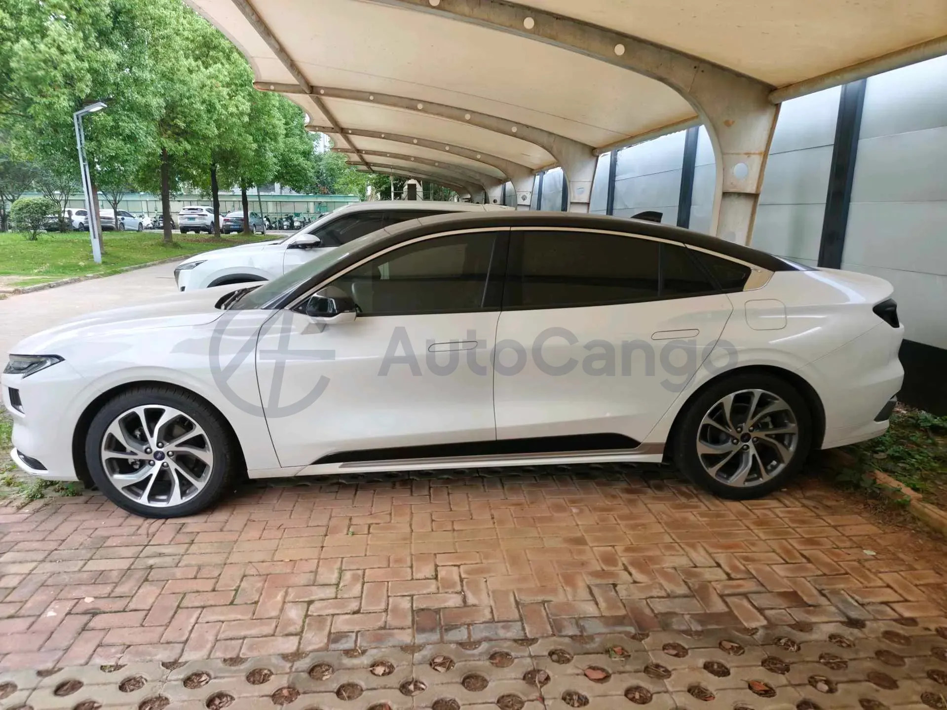 2022 Ford Mondeo 2.0T 238HP L4 8AT,autocango,china used car exporter,china ev exporter,chinese used car exporter,chinese used ev exporter