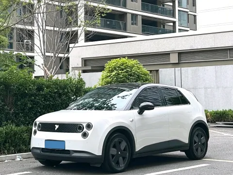 2025 FIREFLY FIREFLY,autocango,china used car exporter,china ev exporter,chinese used car exporter,chinese used ev exporter