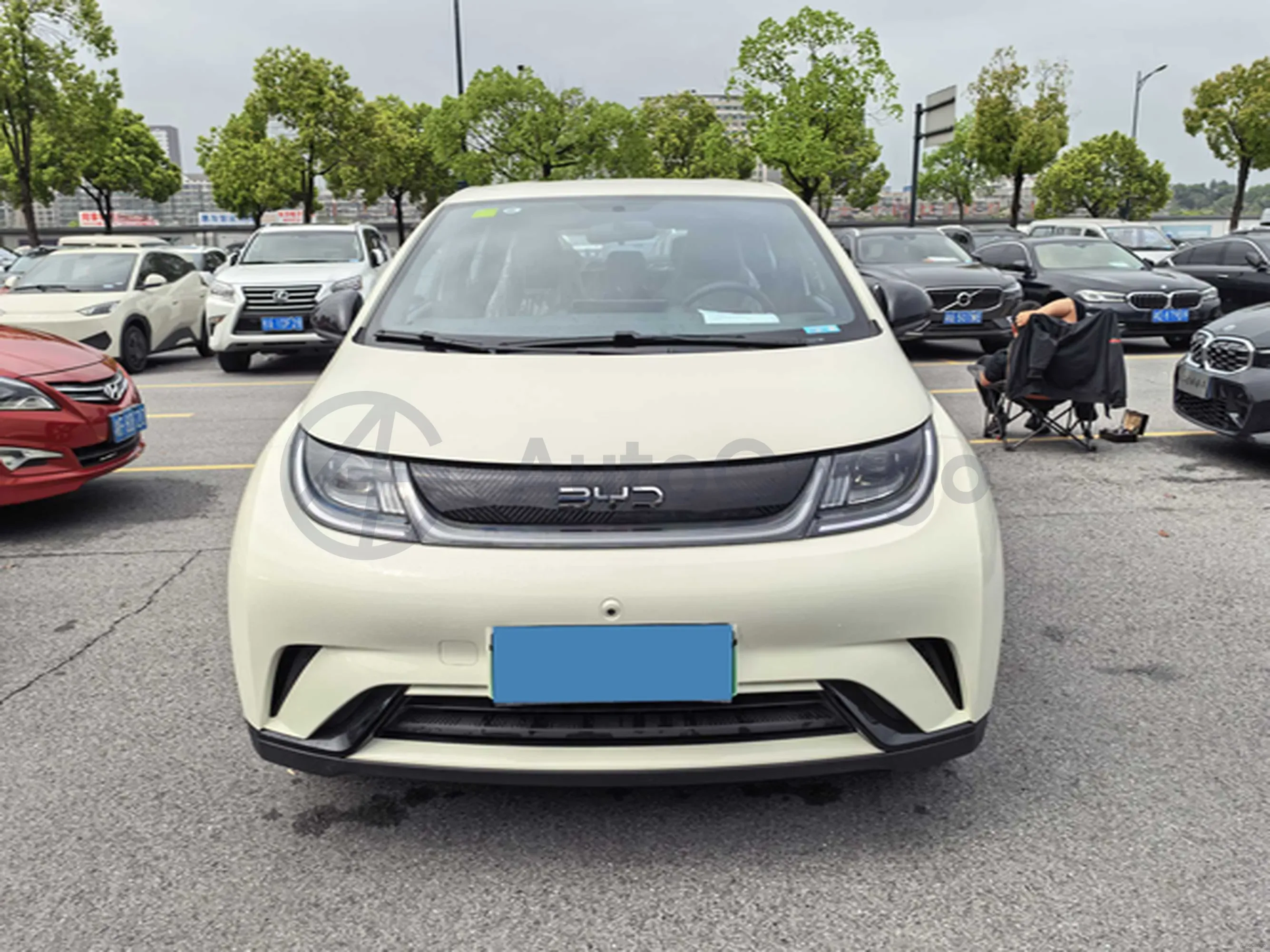 2025 BYD Dolphin BEV 44.928KWH,autocango,china used car exporter,china ev exporter,chinese used car exporter,chinese used ev exporter