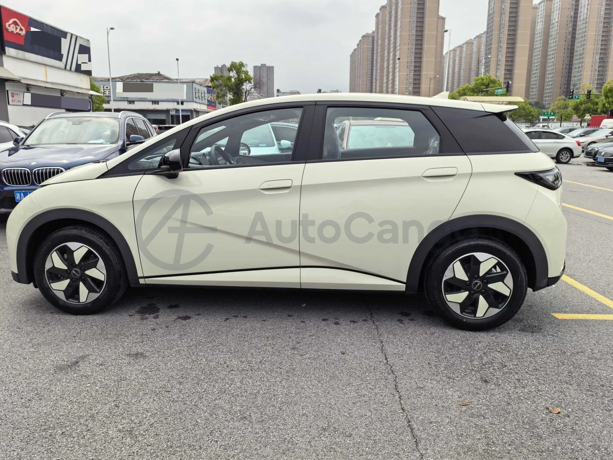 2025 BYD Dolphin BEV 44.928KWH,autocango,china used car exporter,china ev exporter,chinese used car exporter,chinese used ev exporter