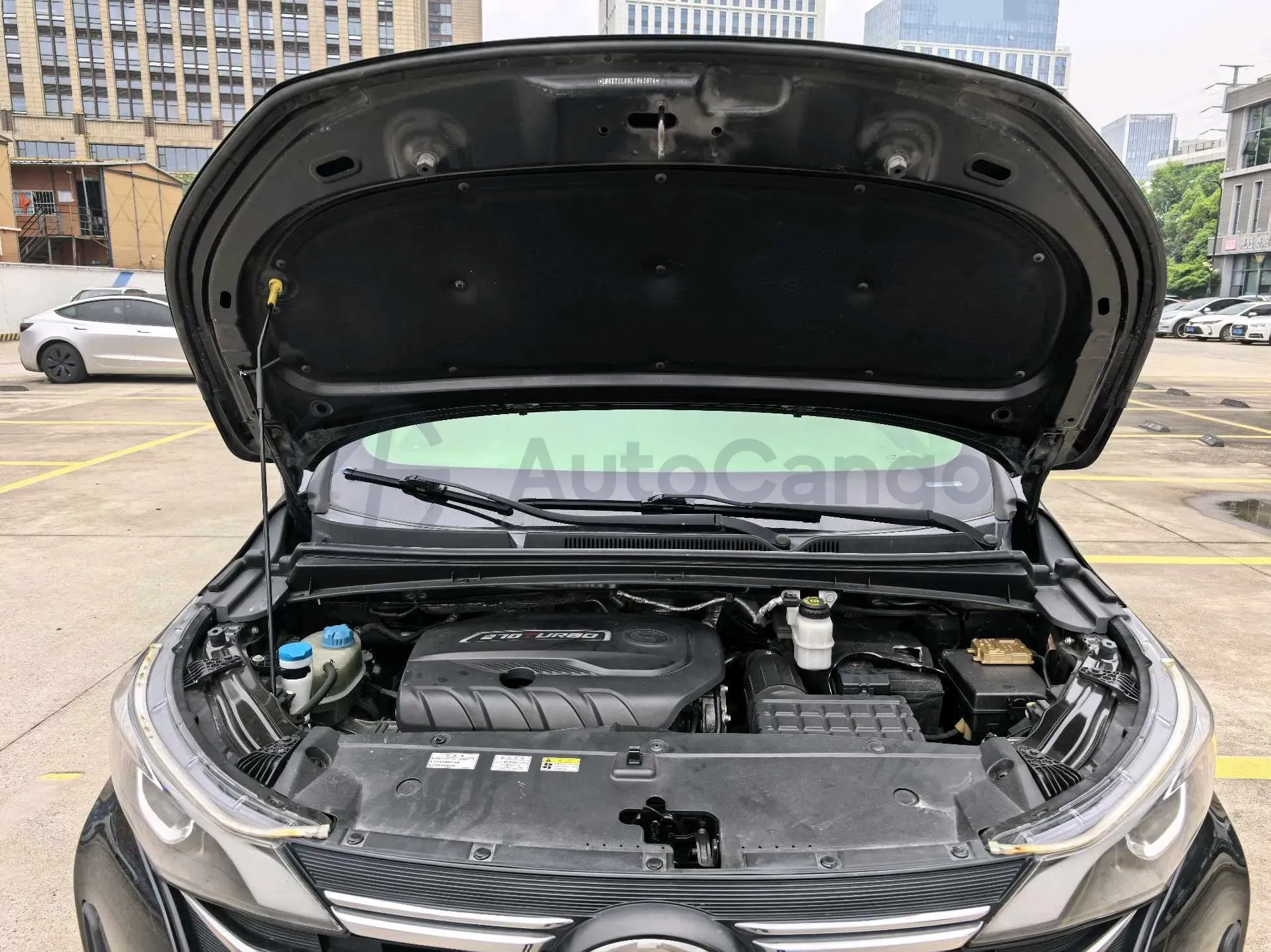 2021 GAC Trumpchi M6 1.5T 169HP L4 7DCT,autocango,china used car exporter,china ev exporter,chinese used car exporter,chinese used ev exporter