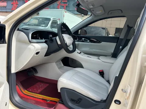 2025 WuLing YangGuang E Truck BEV 41.9KWH