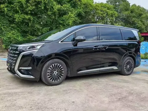2024 DENZA D9,autocango,china used car exporter,china ev exporter,chinese used car exporter,chinese used ev exporter