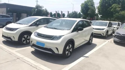 2025 BYD DOLPHIN,autocango,china used car exporter,china ev exporter,chinese used car exporter,chinese used ev exporter
