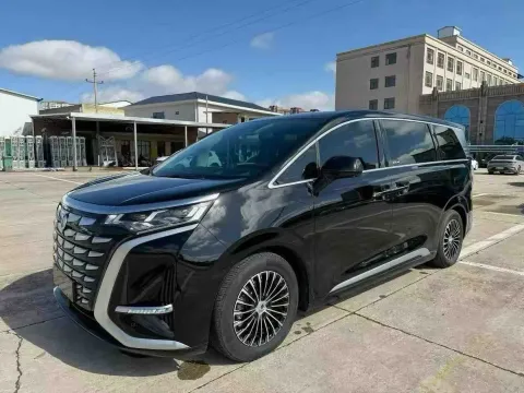 2024 DENZA D9,autocango,china used car exporter,china ev exporter,chinese used car exporter,chinese used ev exporter