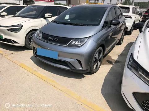2023 BYD DOLPHIN,autocango,china used car exporter,china ev exporter,chinese used car exporter,chinese used ev exporter
