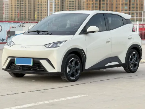 2024 BYD SEAGULL,autocango,china used car exporter,china ev exporter,chinese used car exporter,chinese used ev exporter