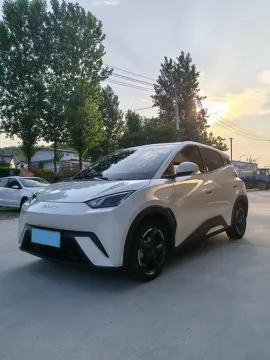 2023 BYD SEAGULL,autocango,china used car exporter,china ev exporter,chinese used car exporter,chinese used ev exporter