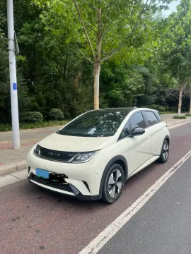 2023 BYD DOLPHIN,autocango,china used car exporter,china ev exporter,chinese used car exporter,chinese used ev exporter