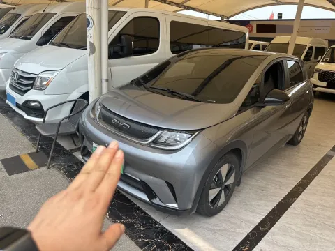 2023 BYD DOLPHIN,autocango,china used car exporter,china ev exporter,chinese used car exporter,chinese used ev exporter