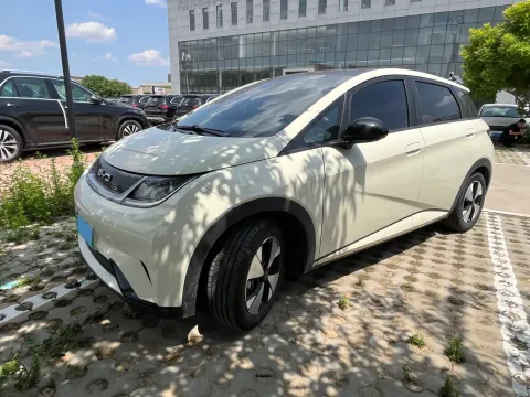2024 BYD DOLPHIN,autocango,china used car exporter,china ev exporter,chinese used car exporter,chinese used ev exporter