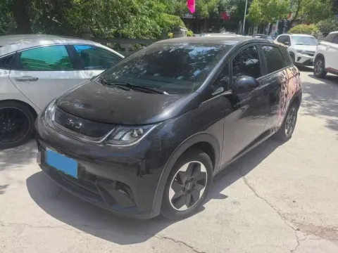 2025 BYD DOLPHIN,autocango,china used car exporter,china ev exporter,chinese used car exporter,chinese used ev exporter