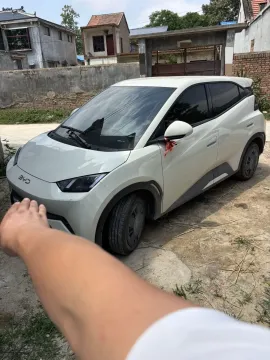 2025 BYD SEAGULL,autocango,china used car exporter,china ev exporter,chinese used car exporter,chinese used ev exporter