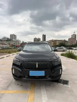 2020 WEY VV6 2.0T 227HP L4 7DCT,autocango,china used car exporter,china ev exporter,chinese used car exporter,chinese used ev exporter