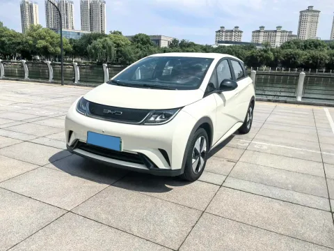 2023 BYD DOLPHIN,autocango,china used car exporter,china ev exporter,chinese used car exporter,chinese used ev exporter