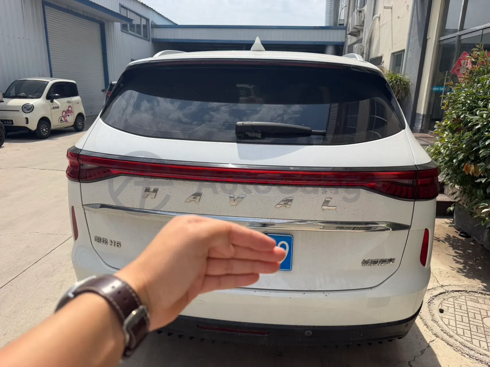 2021 Haval H6 1.5T 169HP L4 7DCT,autocango,china used car exporter,china ev exporter,chinese used car exporter,chinese used ev exporter