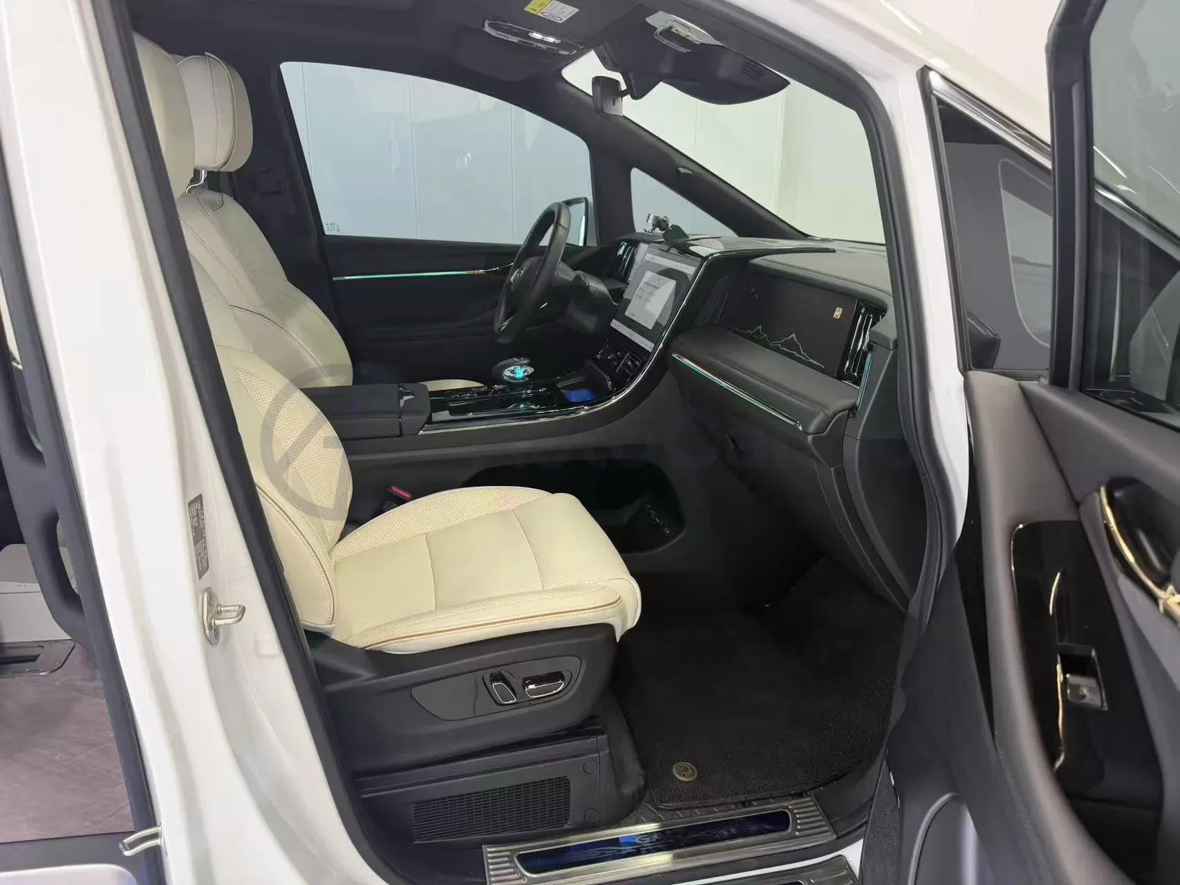 2023 GAC Trumpchi M8 2.0T 252HP L4 8AT,autocango,china used car exporter,china ev exporter,chinese used car exporter,chinese used ev exporter