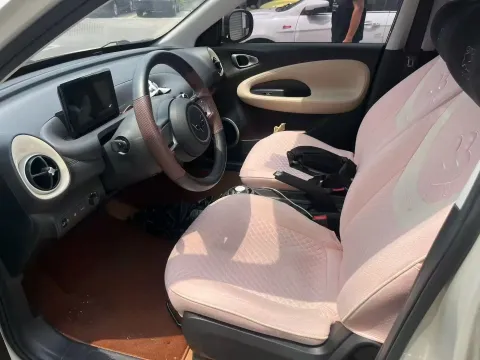 2023 WuLing BinGuo BEV 17.3KWH