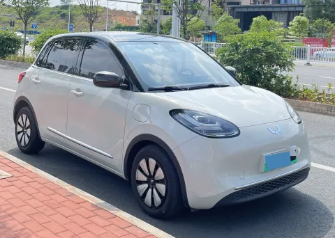 2023 WuLing BinGuo BEV 31.9KWH,autocango,china used car exporter,china ev exporter,chinese used car exporter,chinese used ev exporter